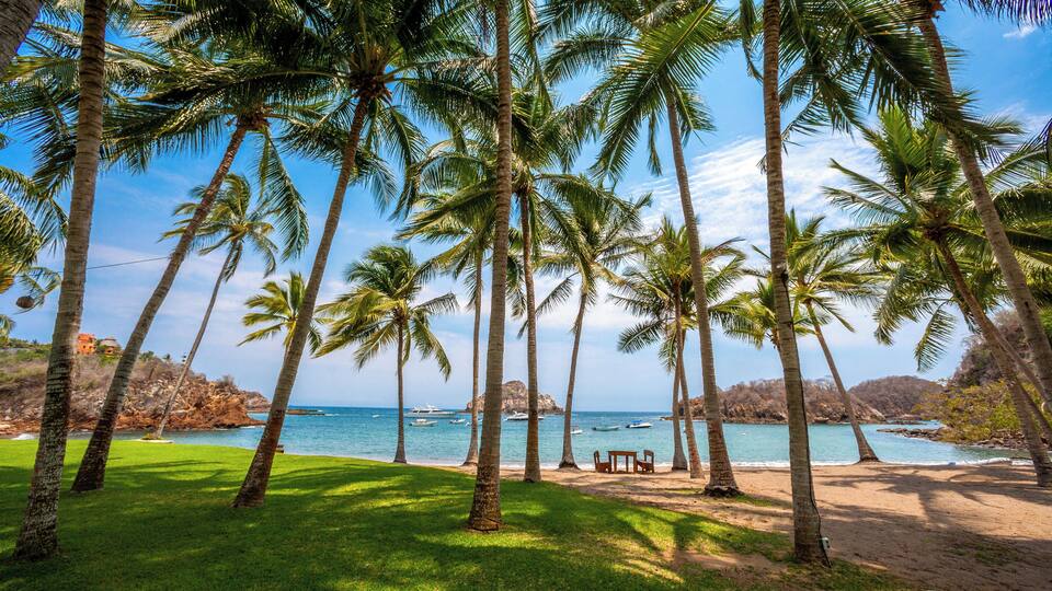 A beach with palm trees, a wooden bench, and a rocky coastline.