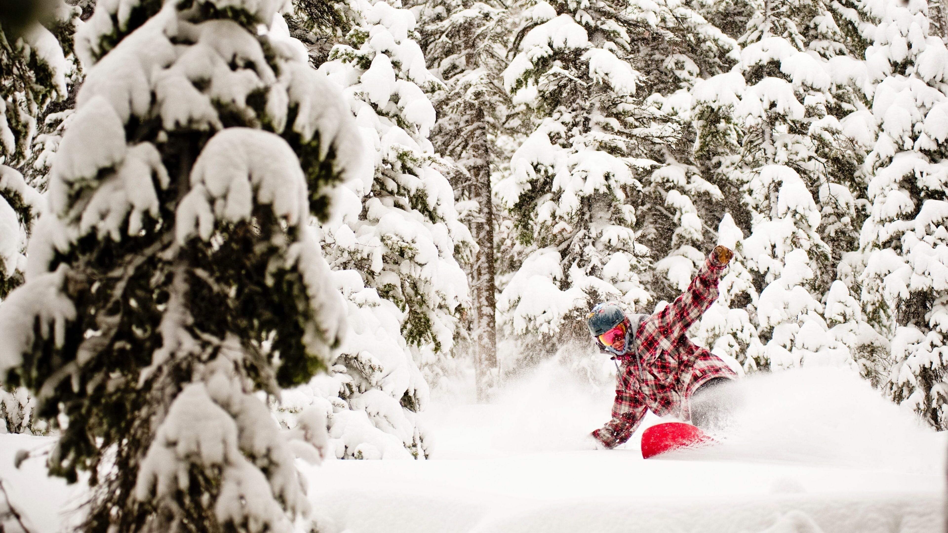 A snowboarder in a red plaid jacket performing a jump in a snowy forest.