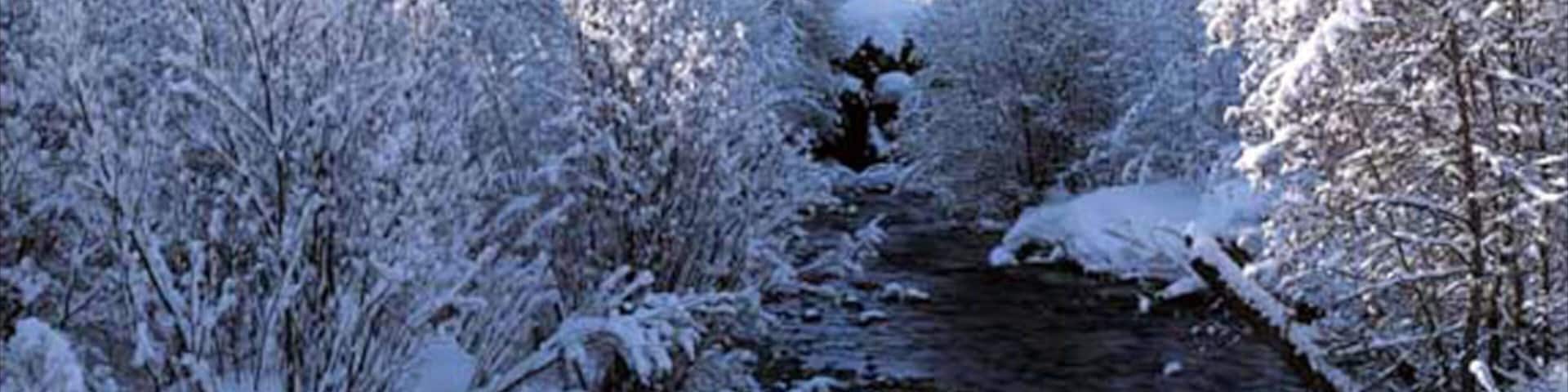 Sun Valley mostrando neve e montagna