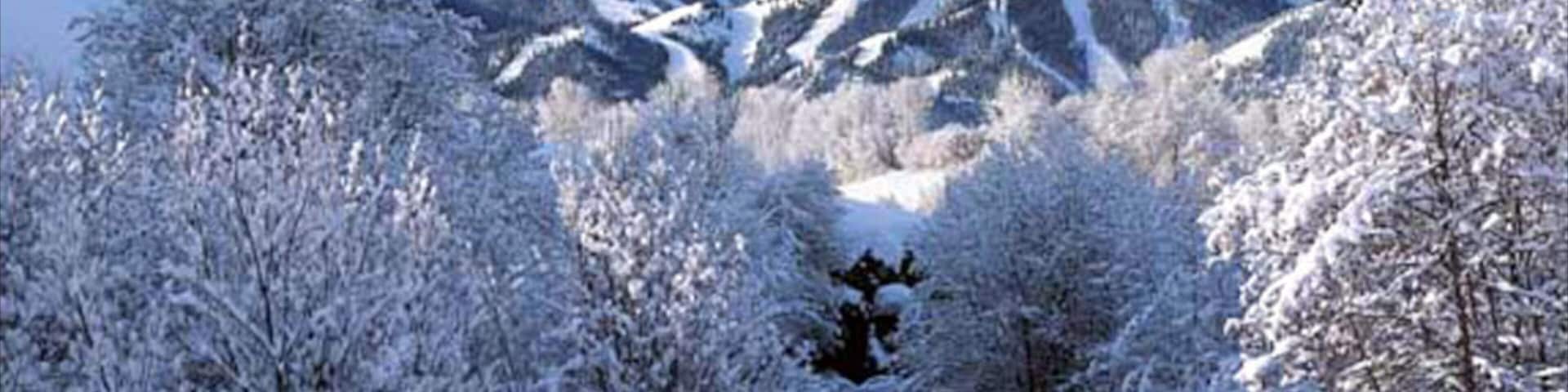 A snow-covered landscape with a river, trees, and mountains.