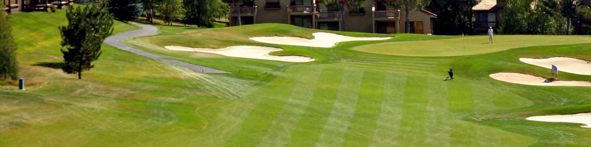 Um campo de golfe com bunkers, putting green e um clube de campo ao fundo.