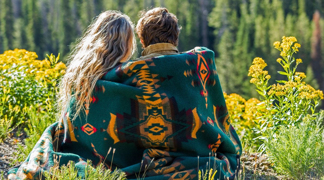 Una pareja sentada en un campo con un bosque al fondo.