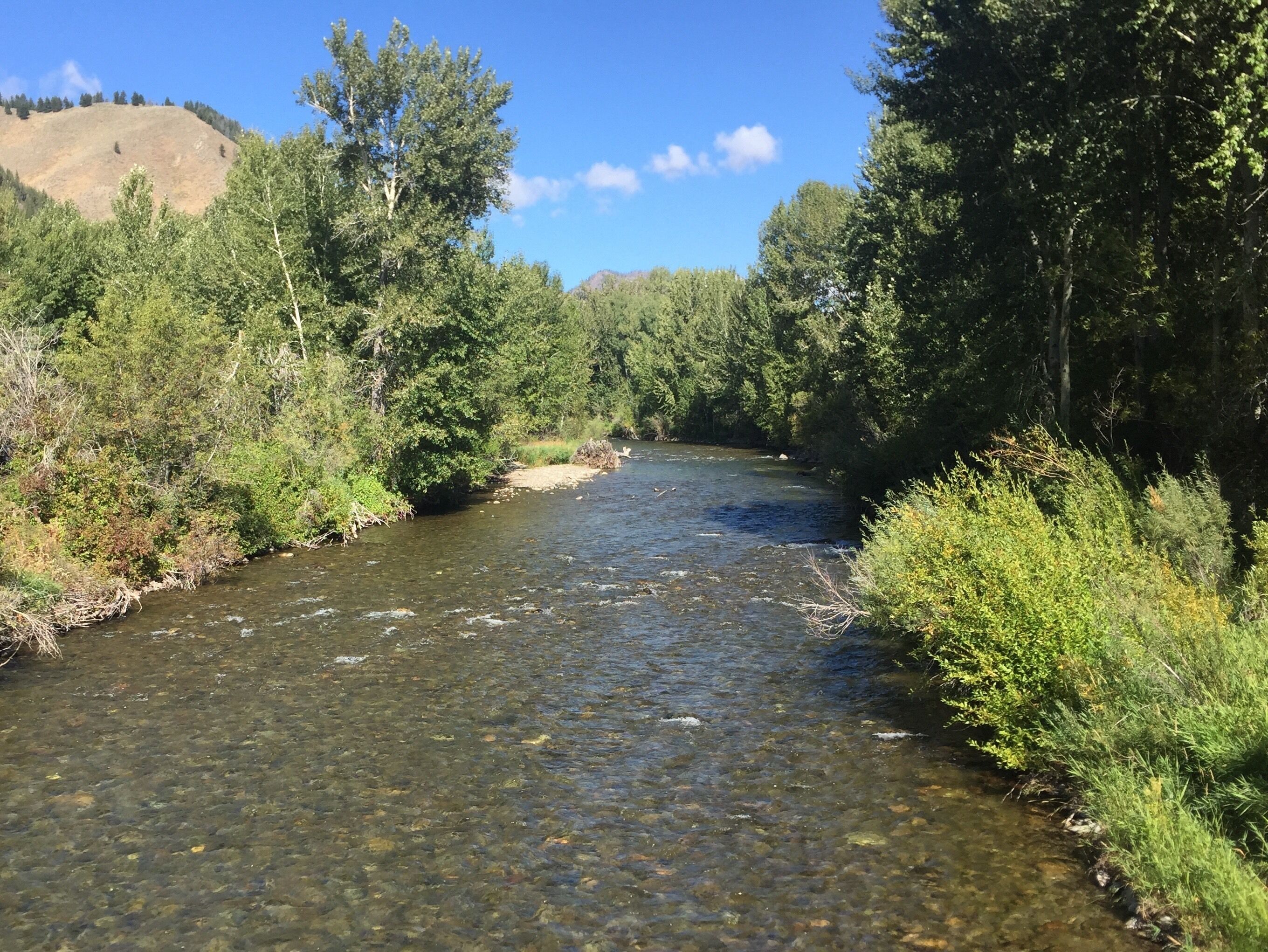 Beautiful Sun Valley, Idaho. #Trovember