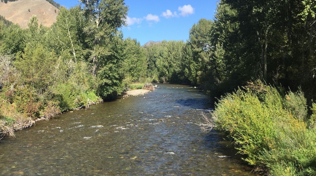 Beautiful Sun Valley, Idaho. #Trovember