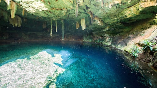 Cenote Kankirixche, Abalá, Yucatan, Mexico