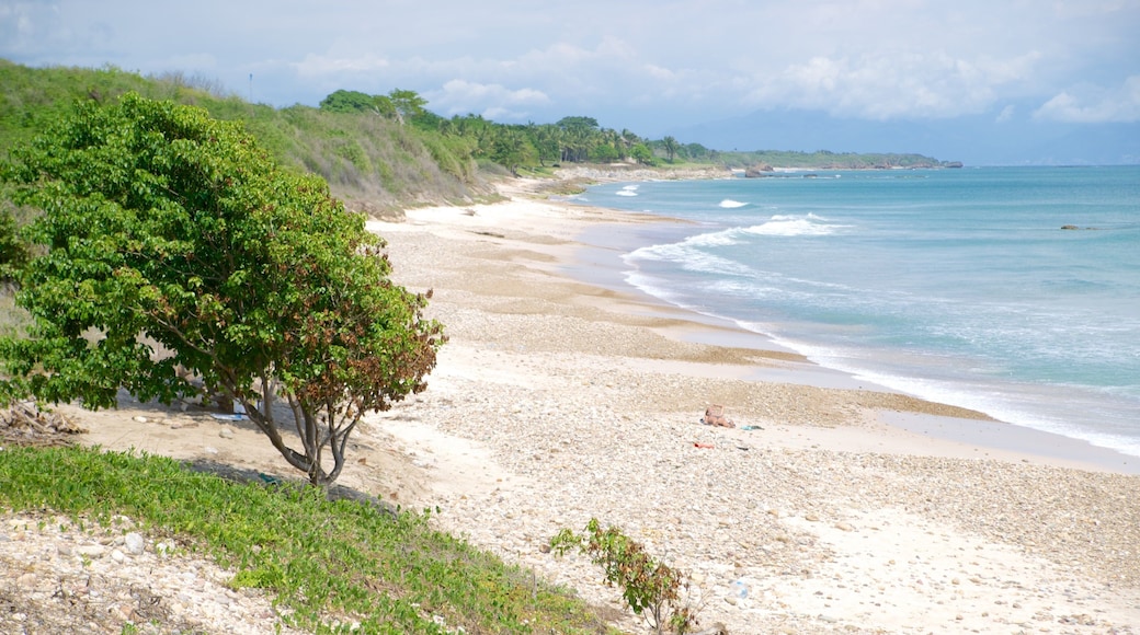 Punta de Mita
