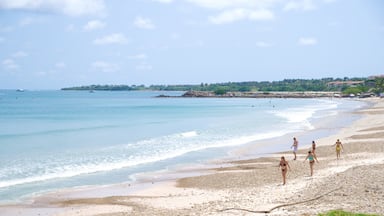 Punta Mita which includes a beach and landscape views as well as a small group of people