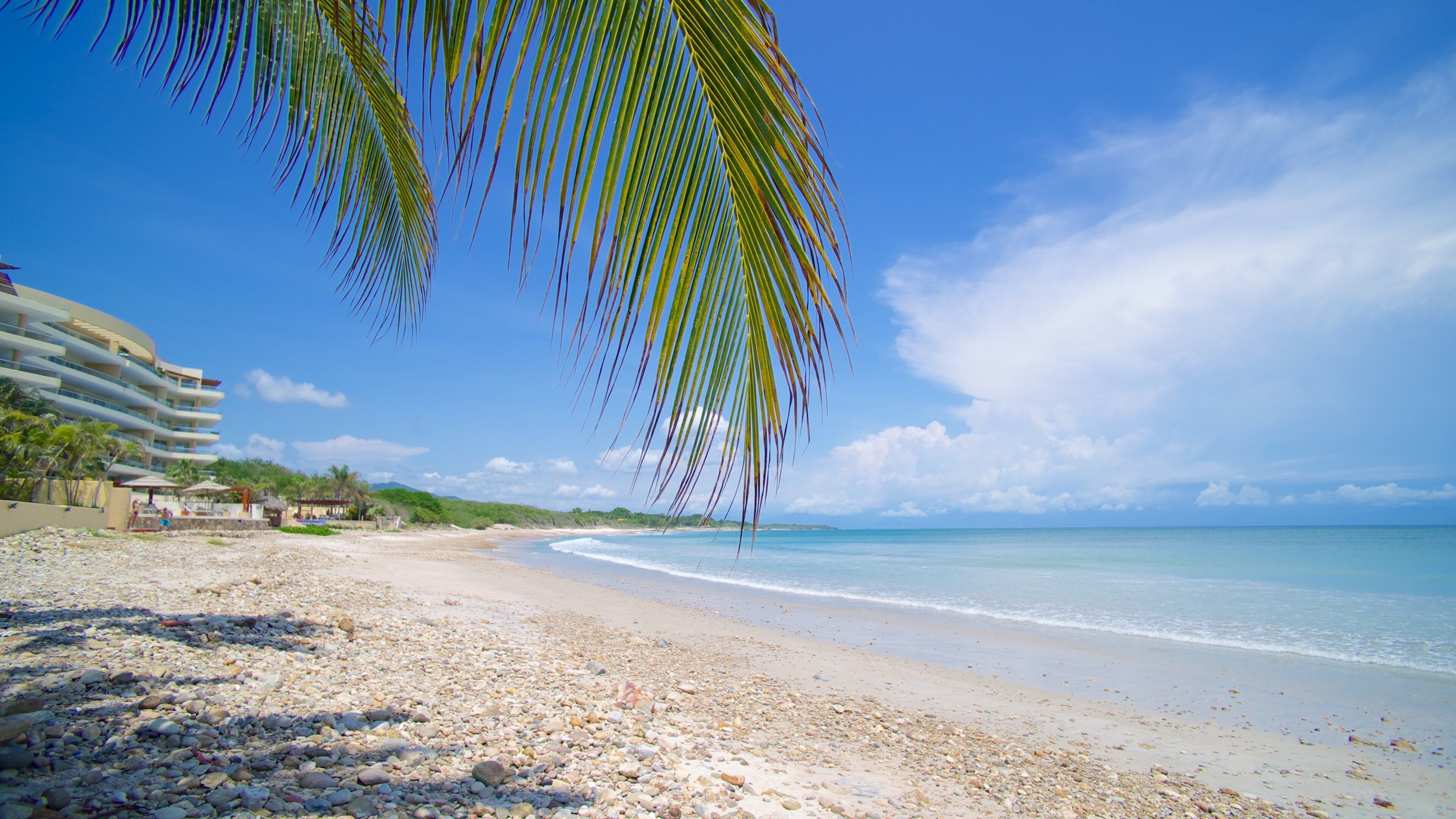 A beach with pebbles, a palm tree, and a hotel in the background.