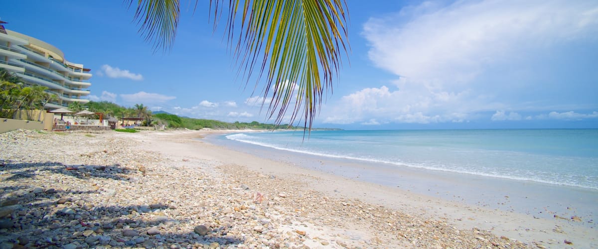 A beach with pebbles, a palm tree, and a hotel in the background.
