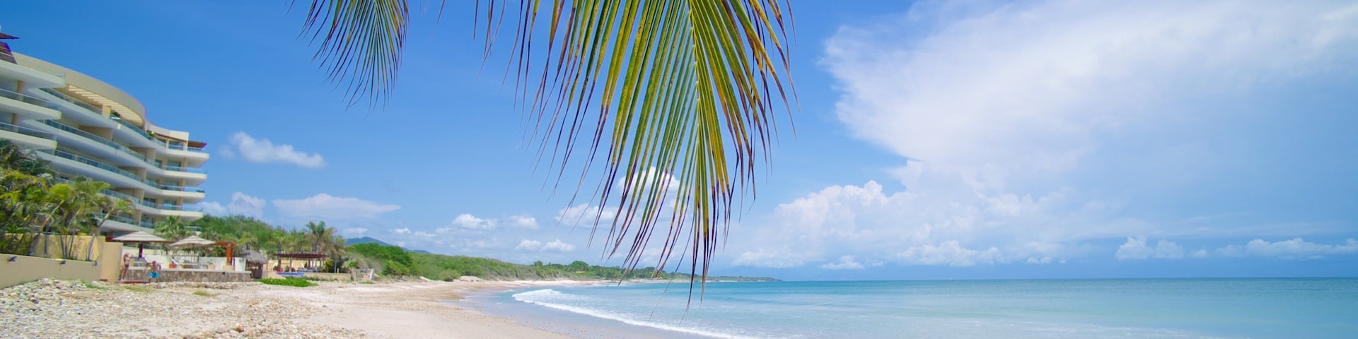 A beach with pebbles, a palm tree, and a hotel in the background.