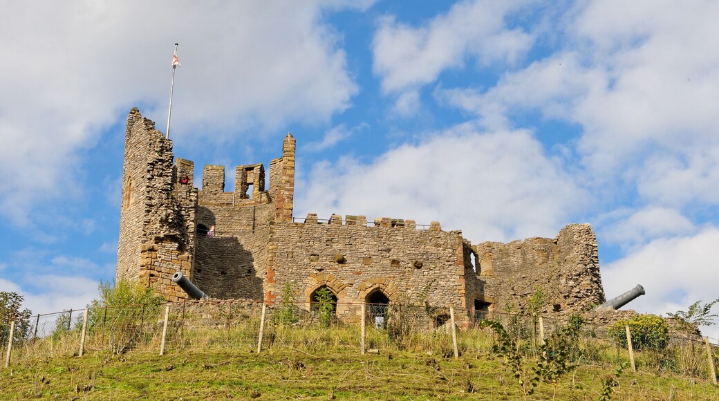 Mast and cannon at Dudley Castle tower. Ratio 16:9