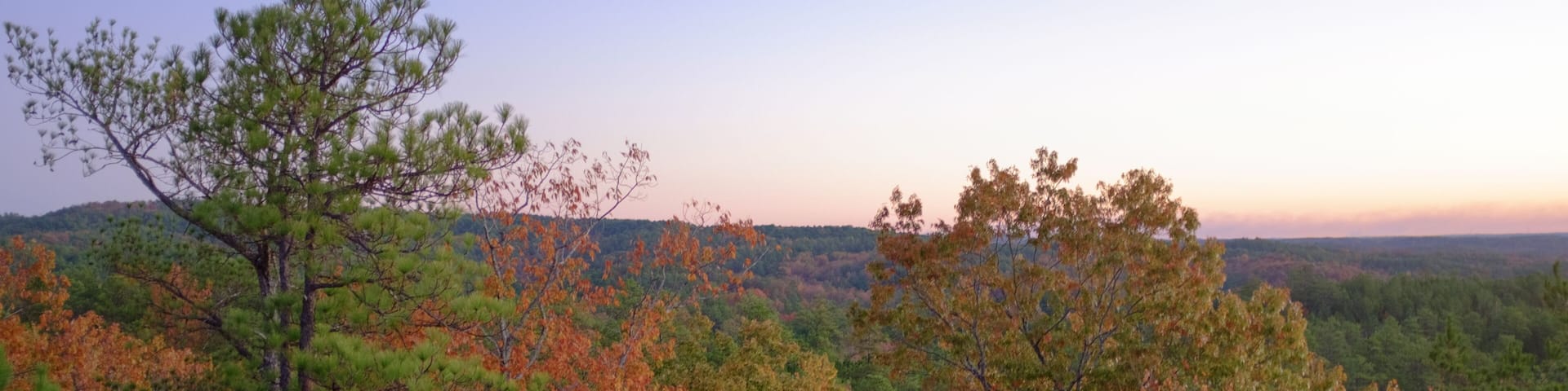 Morning tree and sky colors in Talladega National Forest near Heflin, Alabama, USA