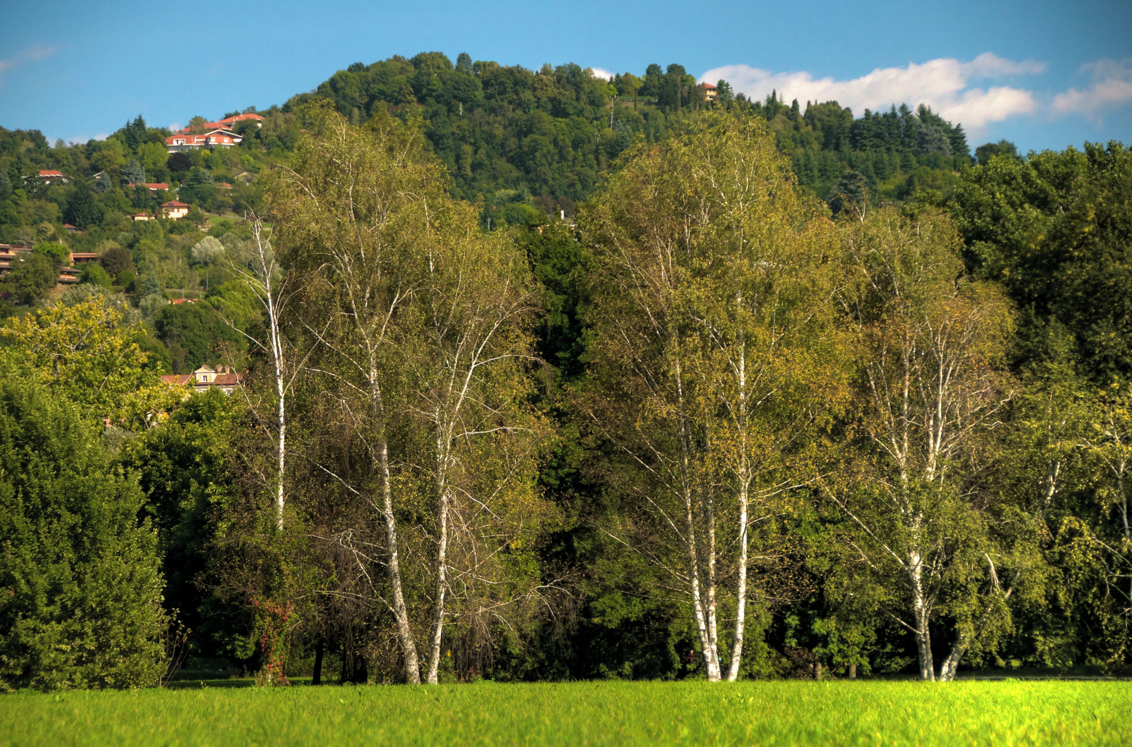 Parco Vallere, Moncalieri