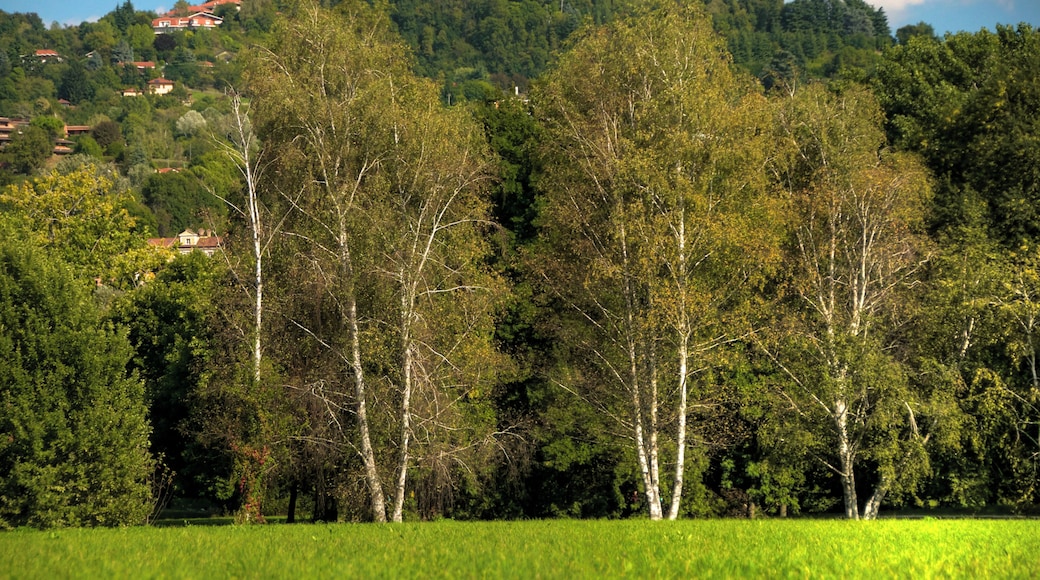 Parco Vallere, Moncalieri