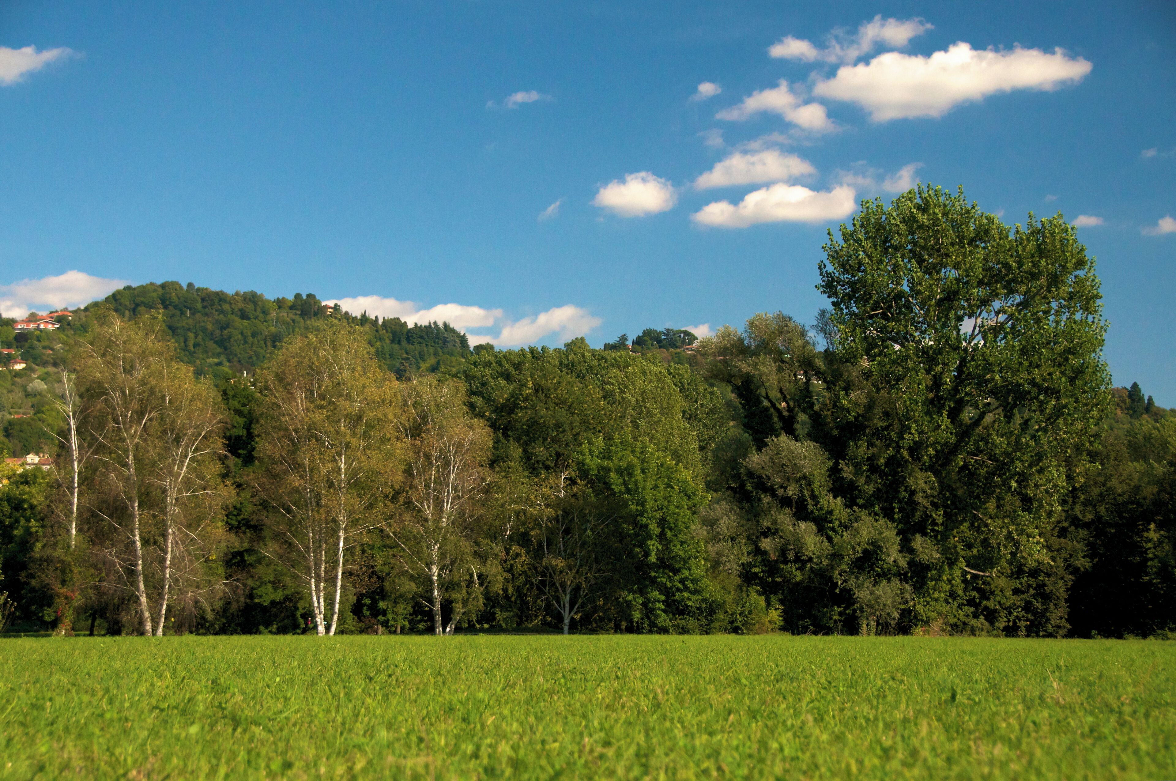 Parco Vallere, Moncalieri