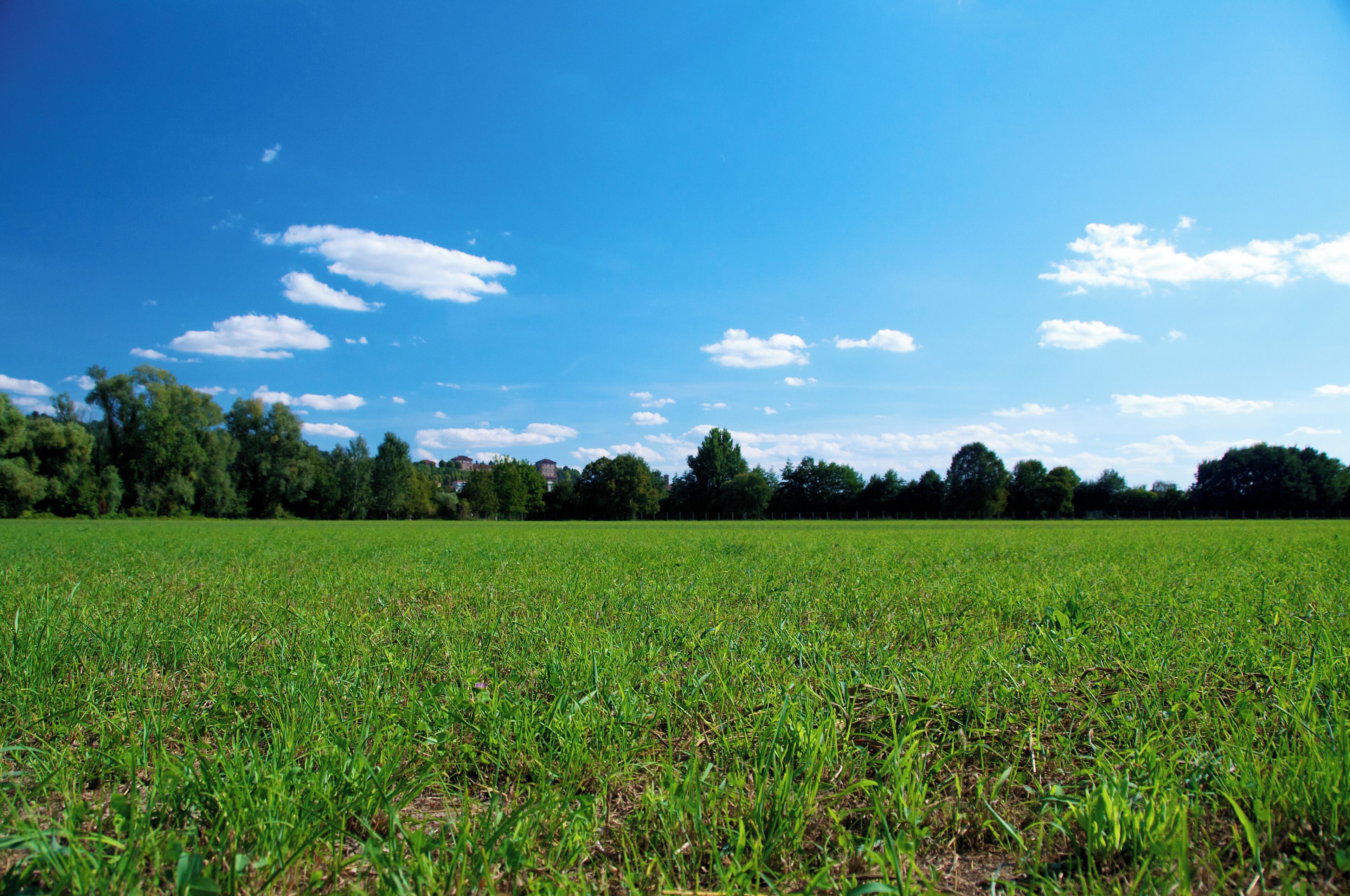 Parco Vallere, Moncalieri