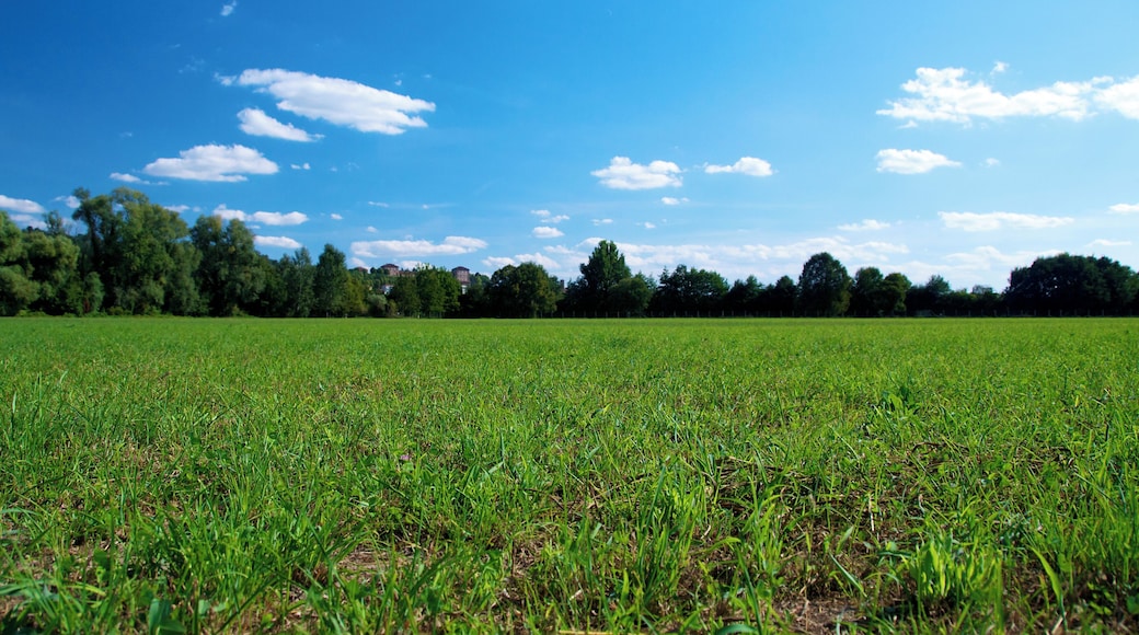 Parco Vallere, Moncalieri