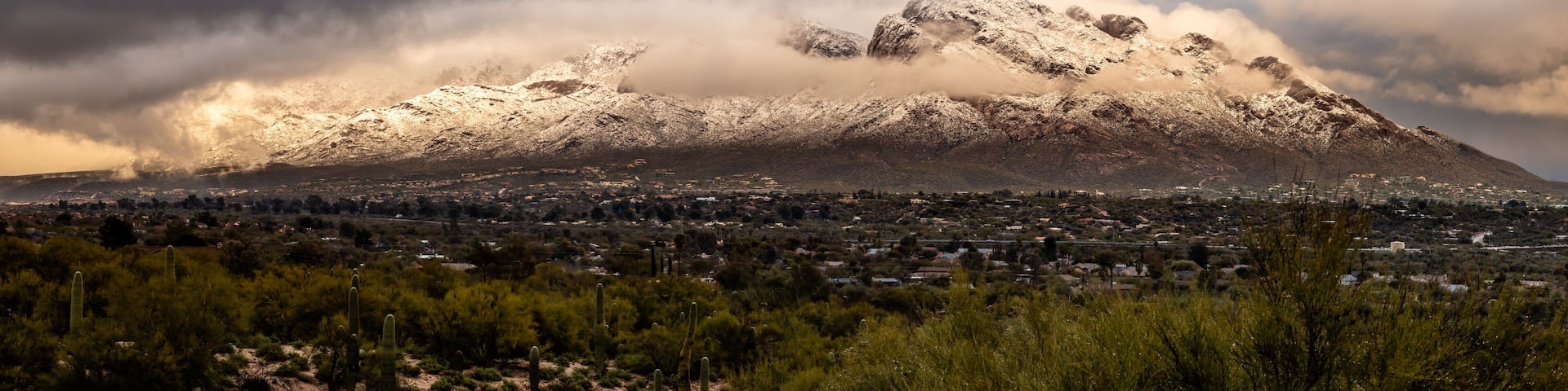 A storm clears revealing and epic desert Winter wonderland on Pusch Ridge of the Santa Catalina Mountains near Tucson, Arizona.