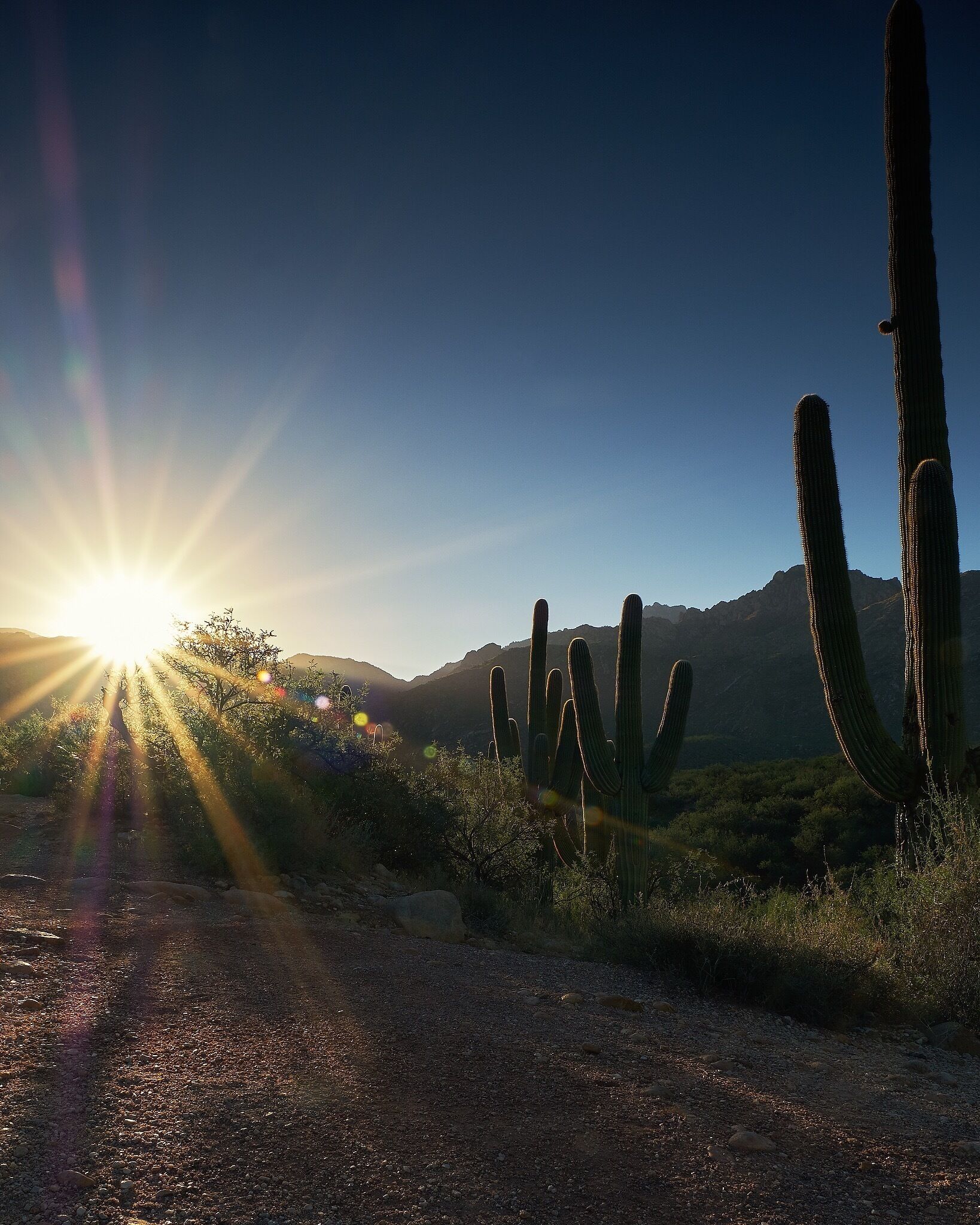 Sunrise over the Santa Catalina Mountains. This morning I hiked at Catalina State Park, AZ. Standing next to the ruins of an ancient Hohokum settlement, just close your eyes and imagine those early inhabitants rising to this beautiful view a thousand years ago.
#desert #desertlife #arizona #arizonaphotographer #arizonaphotography  #naturephotography #nature #hikingtrails #Tucson #catalinastatepark #sunrise #saguaro #mountainsunrise