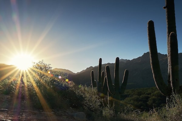 Sunrise over the Santa Catalina Mountains. This morning I hiked at Catalina State Park, AZ. Standing next to the ruins of an ancient Hohokum settlement, just close your eyes and imagine those early inhabitants rising to this beautiful view a thousand years ago.
#desert #desertlife #arizona #arizonaphotographer #arizonaphotography #naturephotography #nature #hikingtrails #Tucson #catalinastatepark #sunrise #saguaro #mountainsunrise