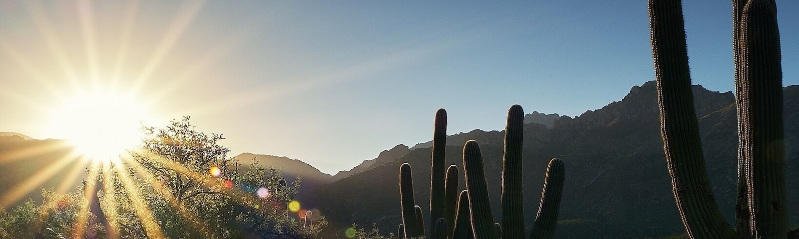 Sunrise over the Santa Catalina Mountains. This morning I hiked at Catalina State Park, AZ. Standing next to the ruins of an ancient Hohokum settlement, just close your eyes and imagine those early inhabitants rising to this beautiful view a thousand years ago.
#desert #desertlife #arizona #arizonaphotographer #arizonaphotography #naturephotography #nature #hikingtrails #Tucson #catalinastatepark #sunrise #saguaro #mountainsunrise