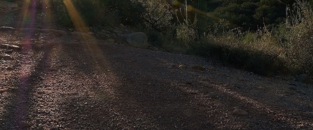 Sunrise over the Santa Catalina Mountains. This morning I hiked at Catalina State Park, AZ. Standing next to the ruins of an ancient Hohokum settlement, just close your eyes and imagine those early inhabitants rising to this beautiful view a thousand years ago.
#desert #desertlife #arizona #arizonaphotographer #arizonaphotography #naturephotography #nature #hikingtrails #Tucson #catalinastatepark #sunrise #saguaro #mountainsunrise