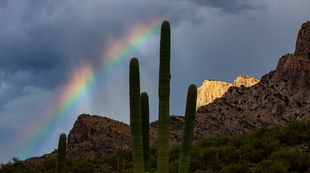 ์ค๋ก๋ฐธ๋ฆฌ