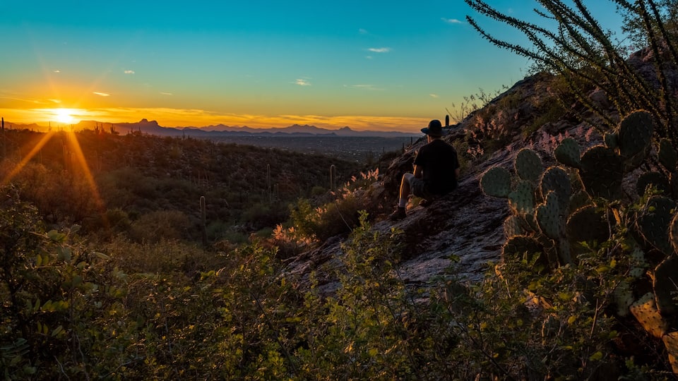 A person sitting on a rocky outcrop overlooking a desert landscape with cacti and a sunset in the background.