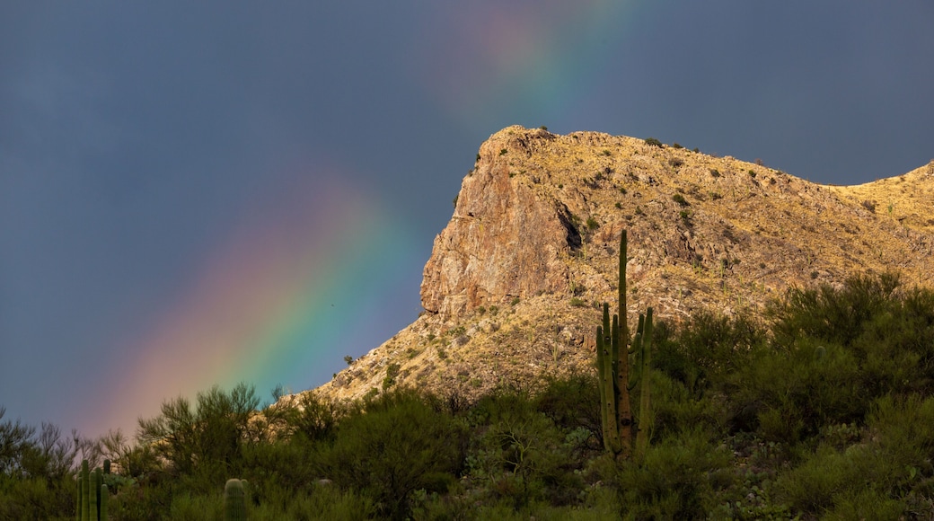 An incredibly colorful and magical rainbow during summer monsoon storms over Pusch Ridge in the Catalina Mountains. Oro Valley, Pima County, Arizona, USA.