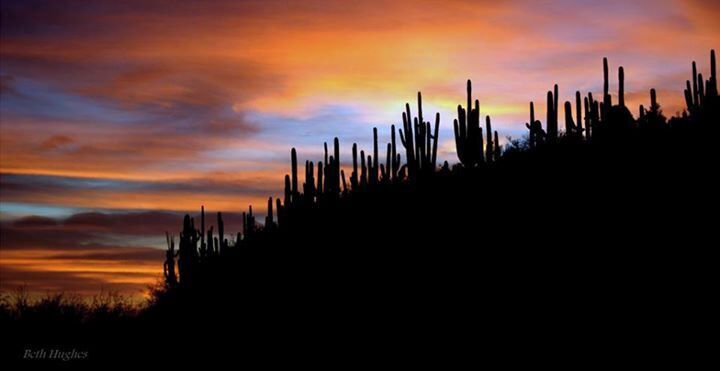 #GoldenHour 
#Colorful Travel Photo Sweepstakes 
Beautiful evening stroll..

North of Tucson in The Catalina Mountains