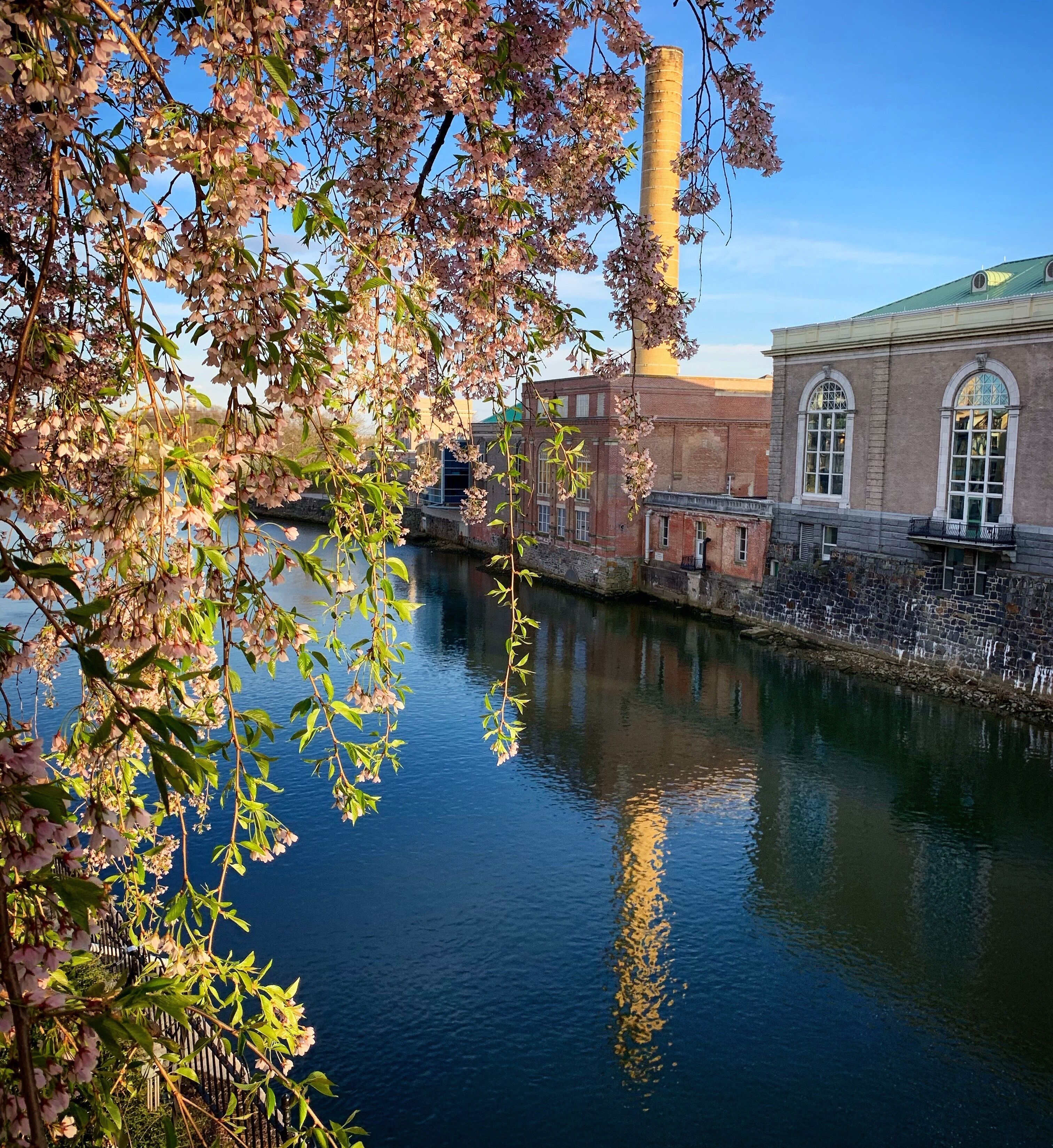 I was installing lights up in a tree when this scenery caught my eye. This is a historical part of #WilmingtonDelaware . Even when I’m working it’s an #adventure 🌎