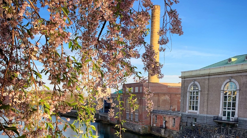 I was installing lights up in a tree when this scenery caught my eye. This is a historical part of #WilmingtonDelaware . Even when I’m working it’s an #adventure 🌎