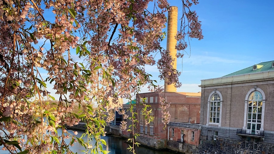 I was installing lights up in a tree when this scenery caught my eye. This is a historical part of #WilmingtonDelaware . Even when Iâm working itâs an #adventure đ
