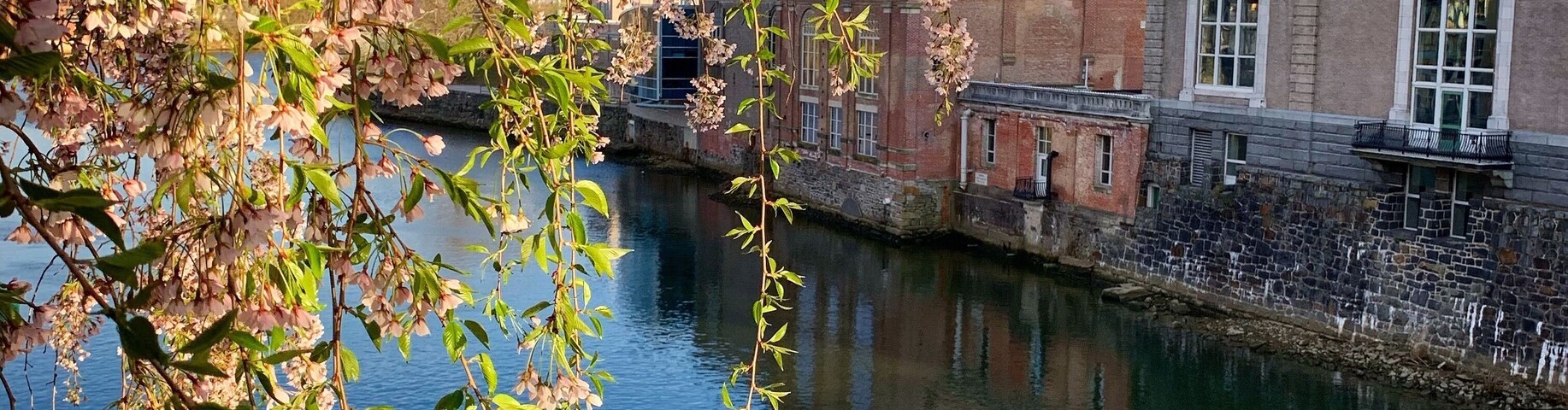 I was installing lights up in a tree when this scenery caught my eye. This is a historical part of #WilmingtonDelaware . Even when I’m working it’s an #adventure 🌎