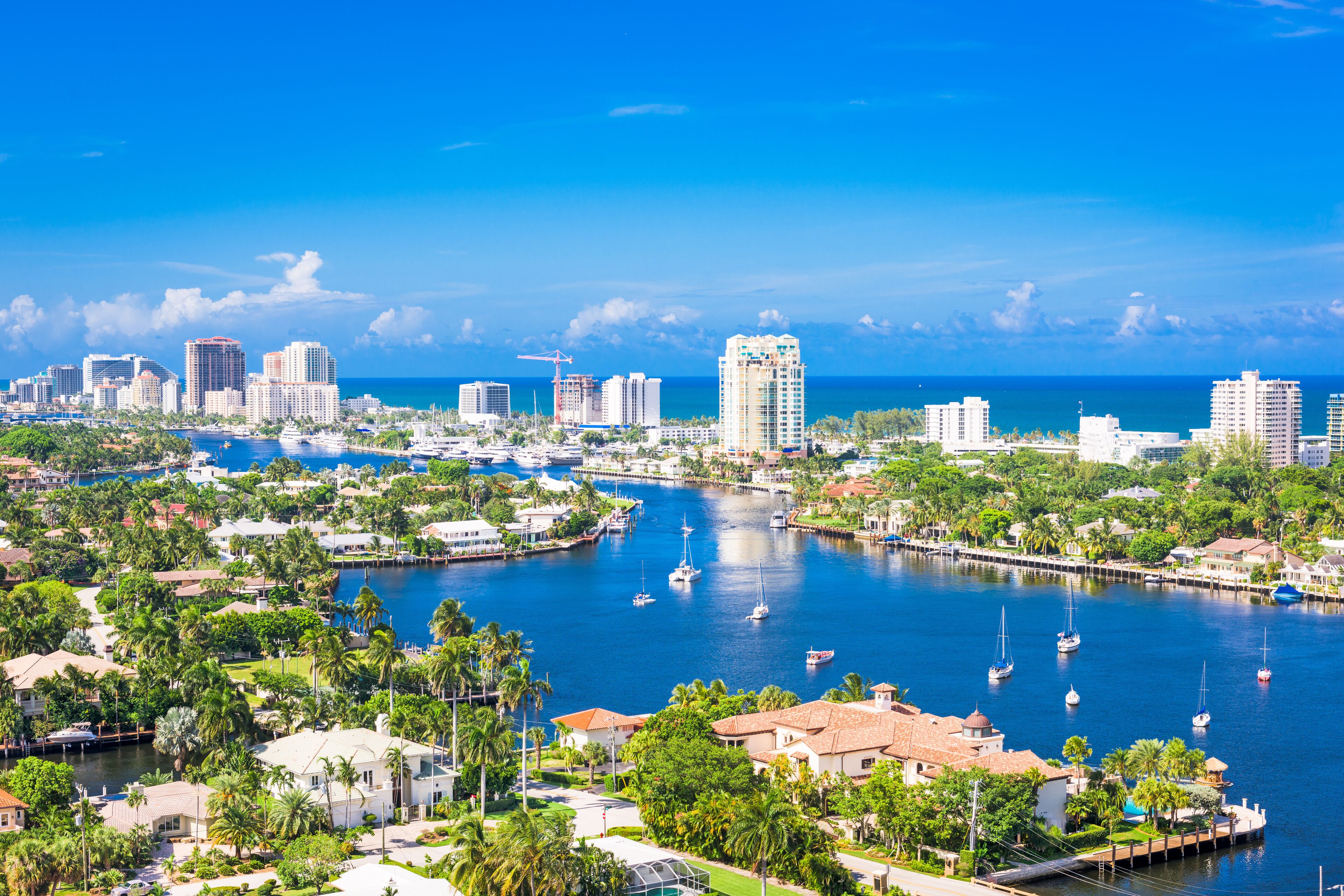 A marina with boats, a city skyline, and palm trees.