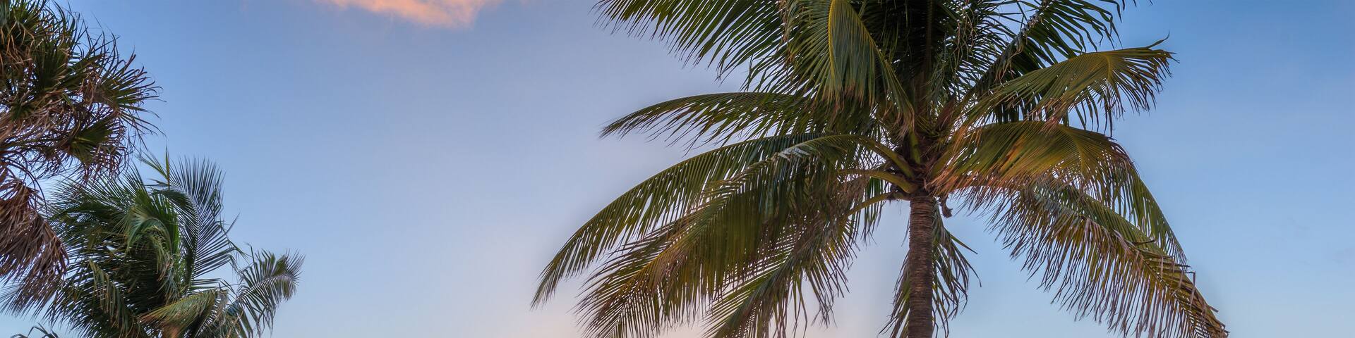 A lifeguard tower on a beach with palm trees and a sunset over the ocean.