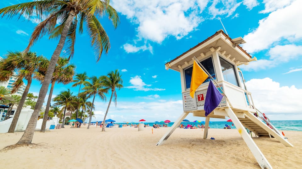 Lifeguard tower and palm trees in Fort Lauderdale shore