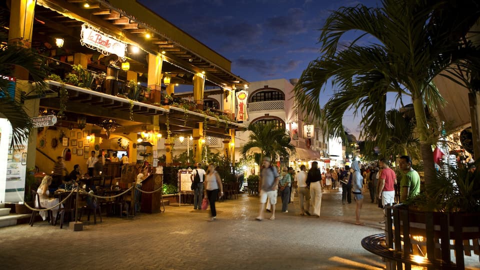 Playa del Carmen featuring night scenes, a city and dining out