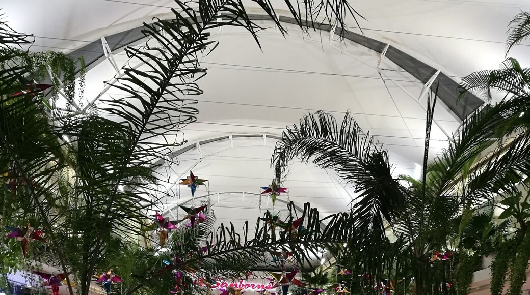 Navidad en el Caribe