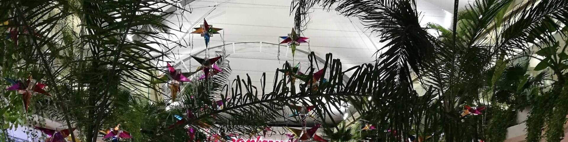 Navidad en el Caribe