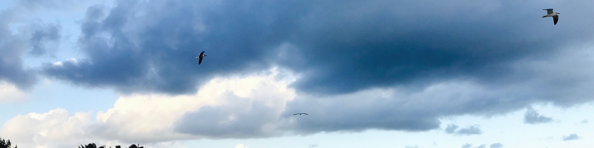 Playa del Carmen 2017