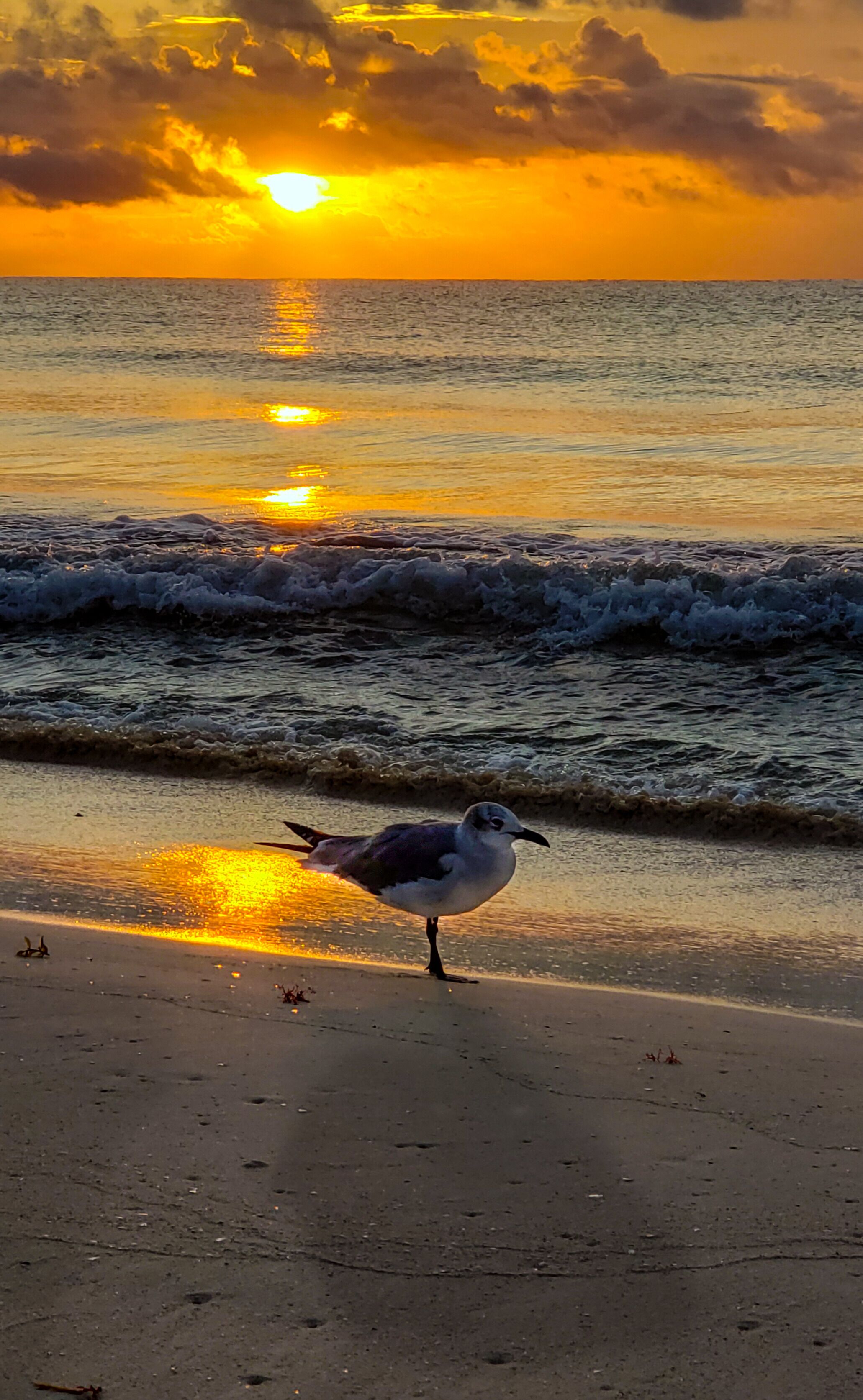 My favorite time of the day to get out and enjoy the beginning of a new day. #IberostarTucan, #Mexicosunrise,