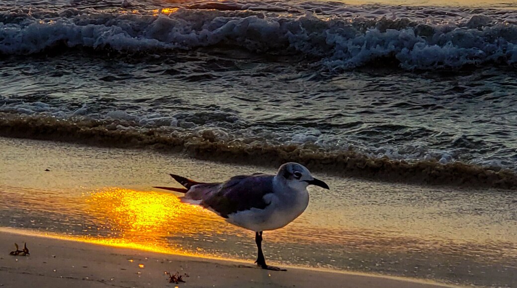 My favorite time of the day to get out and enjoy the beginning of a new day. #IberostarTucan, #Mexicosunrise,