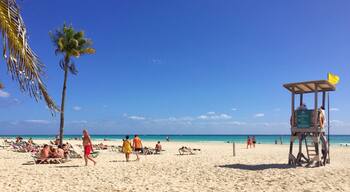 One of the must beautiful beaches in the world!!! Stunning!
#mexico #caribe #beach #sun #palms #waterlust