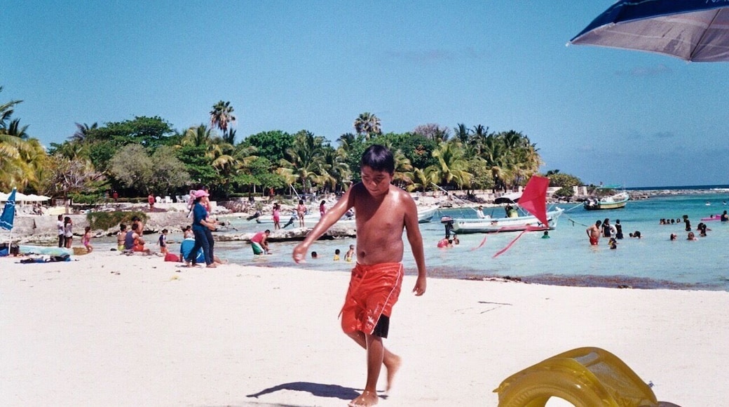 Bring your snorkel and swim with the sea turtles! #lifeatexpedia