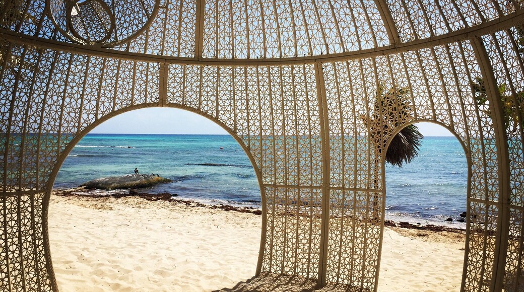 Shady spot on a beautiful sunny beach.