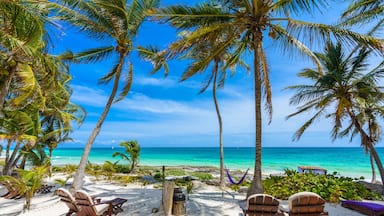 A beach with palm trees, lounge chairs, and a hammock.