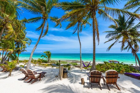 Ein Strand mit Palmen, Liegestühlen und einer Hängematte.