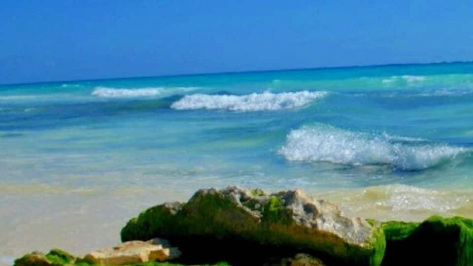 A beach with clear turquoise water, waves, and green algae-covered rocks.