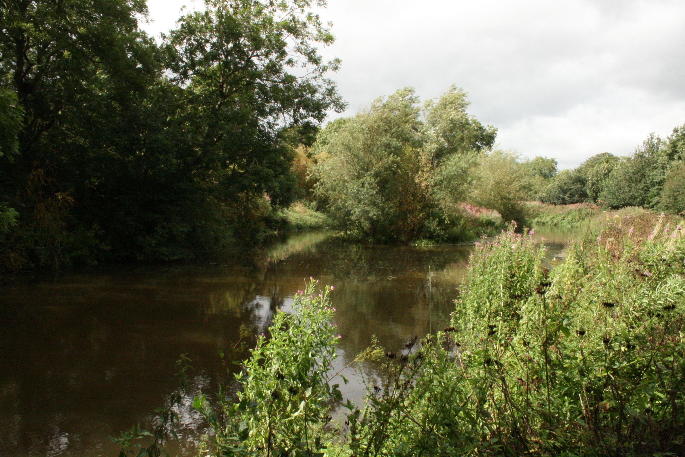 pond near Barry Mill.